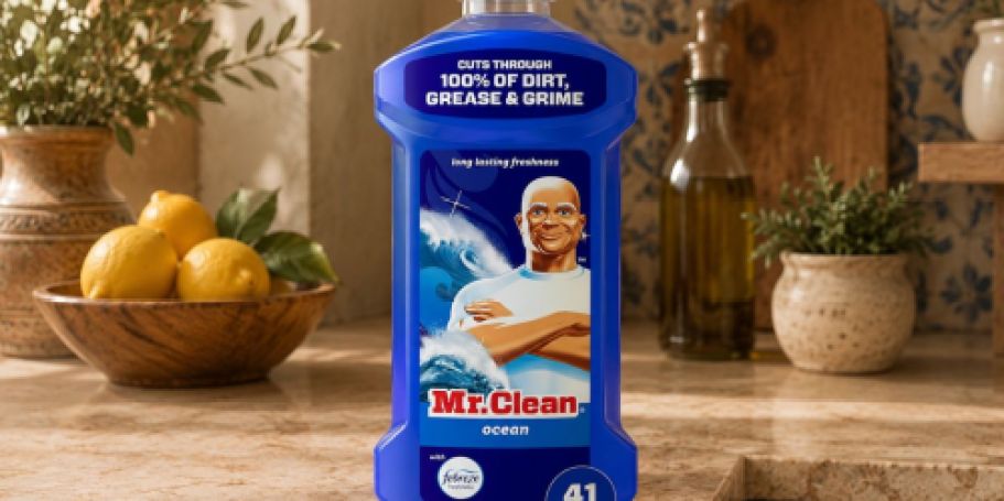 Mr. Clean All-Purpose Cleaner Just $3.99 Shipped on Amazon