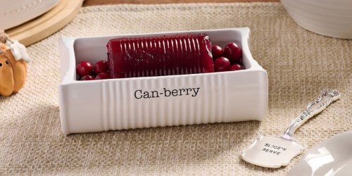 Thanksgiving Table Must-Have! Mud Pie’s Viral Cranberry Dishes from $16 Shipped!