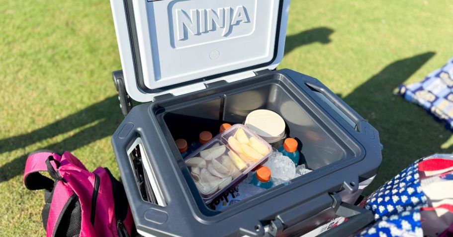 Free QVC Shipping + Rare Coupon = Hot Deals on Ninja, Shark, LEGO & More