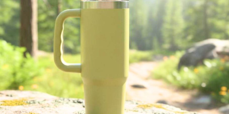 Ozark Trail 30oz Tumbler Only $7.98 on Walmart.com + More