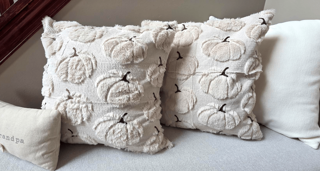 PUMPKIN pillow covers