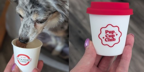 FREE Scooter’s Coffee Pup Cup w/ Purchase (Today Only!)