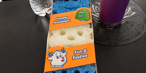 Scrub Daddy Winter Shapes Sponges 3-Pack Just $7.49 on Walmart.com