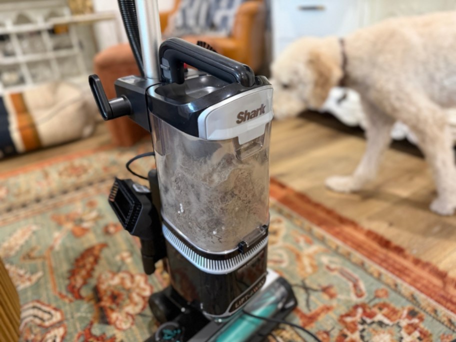 close up a Shark vacuum with a dog walking behind it