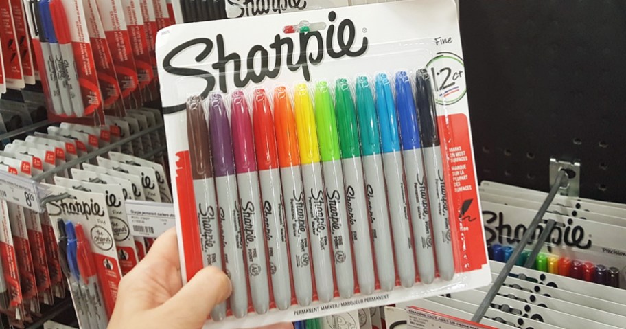 hand holding a pack of Sharpie Permanent Markers in rainbow colors