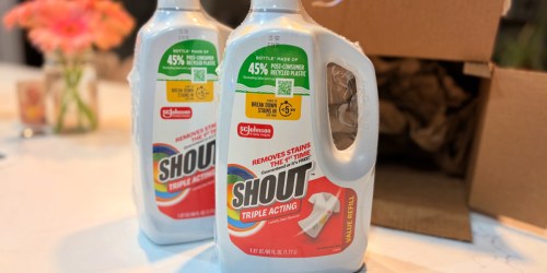Skip Amazon! Home Depot Has 2 Huge Shout Refills for $6.85 Delivered