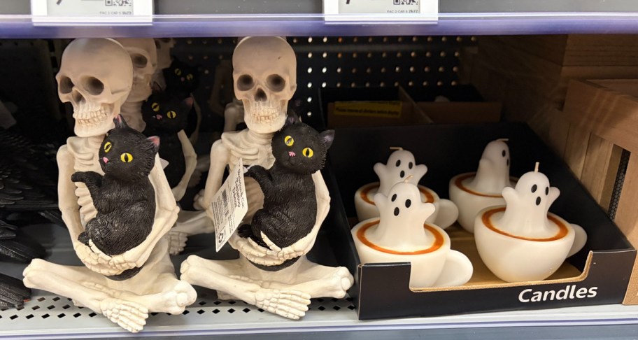 Skeleton holding a cat