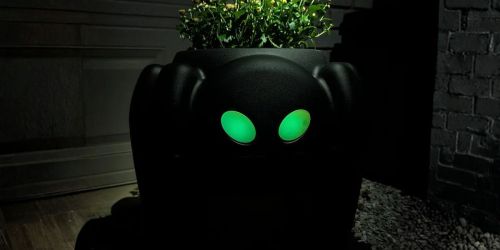 These Spooky Step2 Halloween Planters Ship for Free (The Spider’s Eyes Glow-In-The-Dark!)