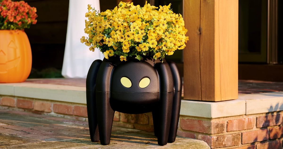 This Creepy Cute Halloween Spider Planter Has Glow-in-the-Dark Eyes!