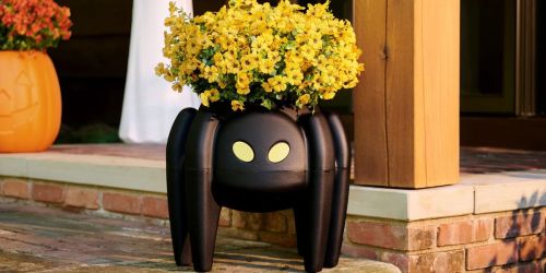 These Spooky Step2 Halloween Planters Are Available on Amazon (The Spider’s Eyes Glow-In-The-Dark!)
