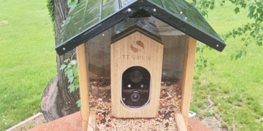Smart Bird Feeder w/ Camera Just $29.99 Shipped on Amazon (Reg. $70)