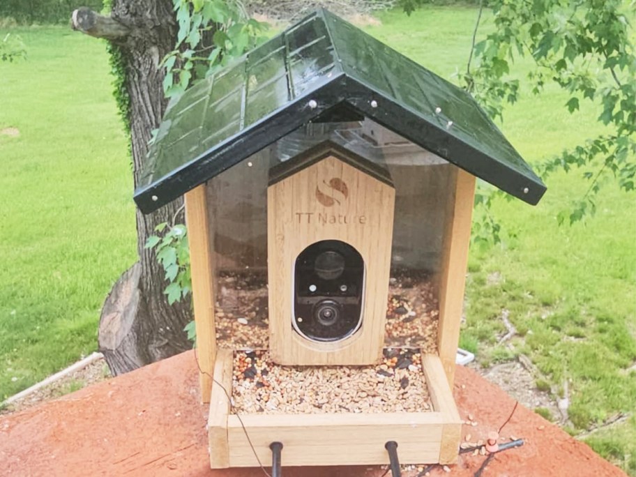 wooden bird feeder with a camera inside