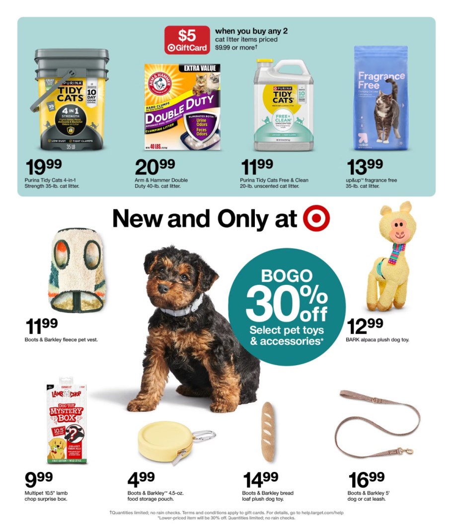 page from Target ad