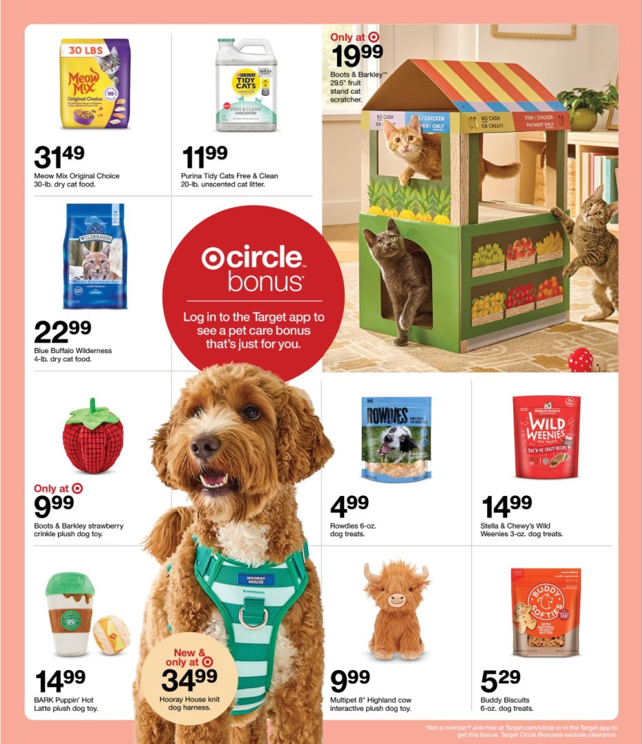 page from Target ad