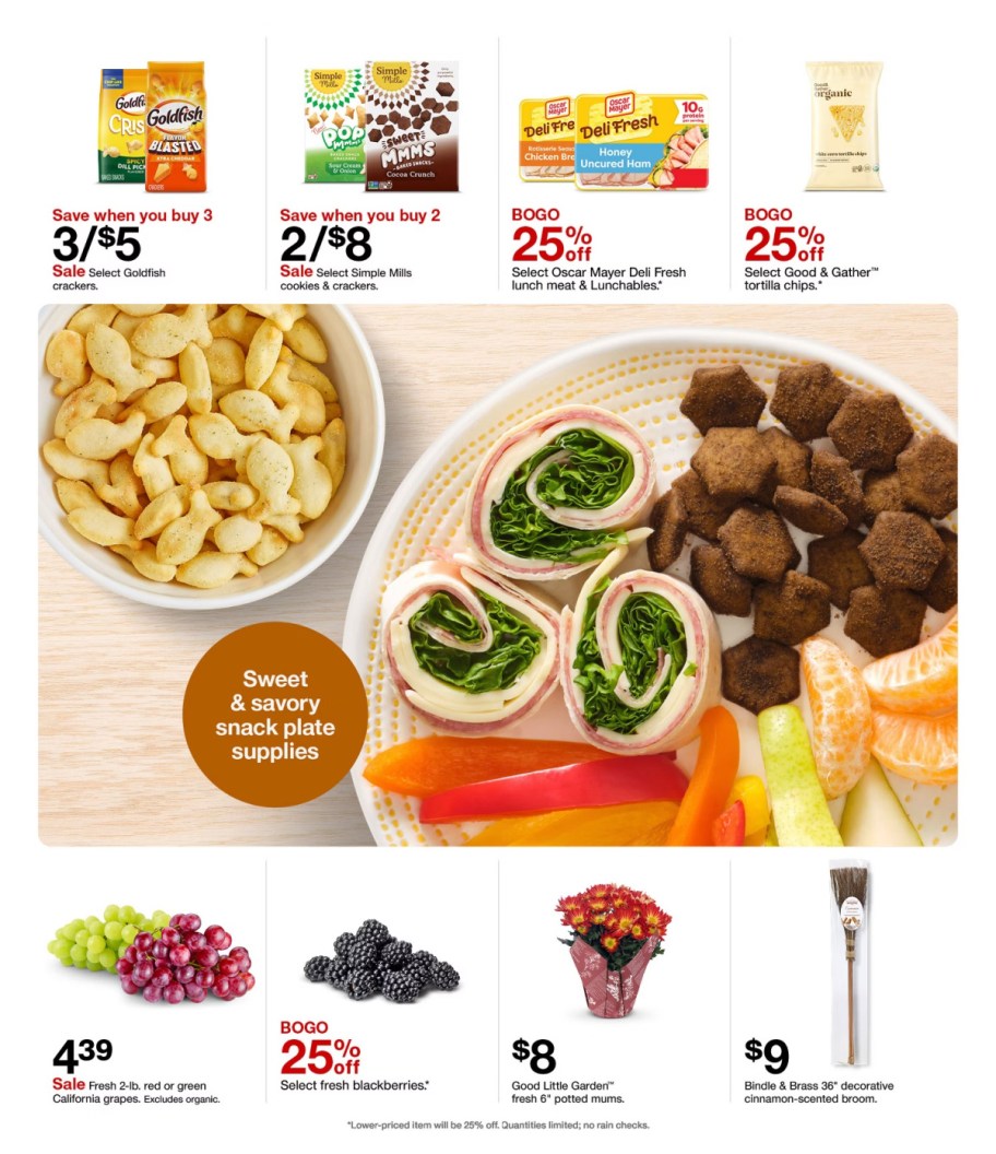 page from Target ad