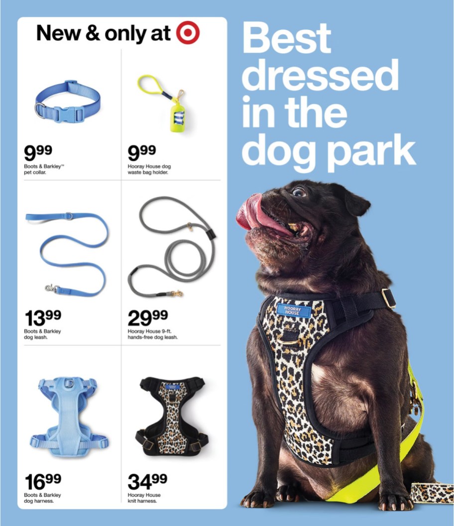 page from Target ad