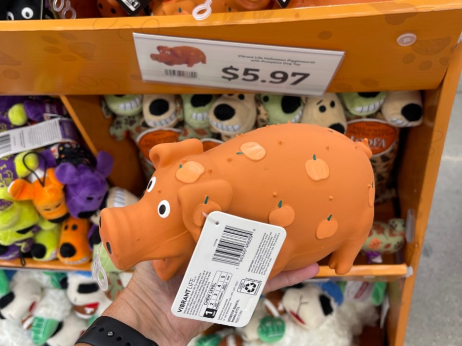 holding an orange pig-shaped dog toy