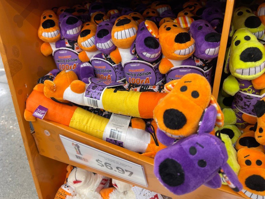 plush halloween dog toys in cardboard display at Walmart
