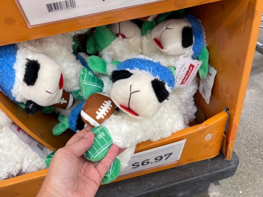 holding a lampchop dog toy