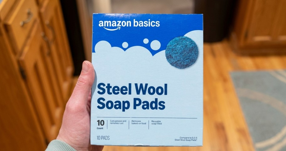 hand holding a box of steel wool cleaners