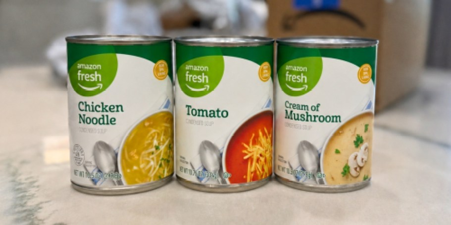 Amazon Fresh Soup Only 59¢ Shipped (Several Flavors!)