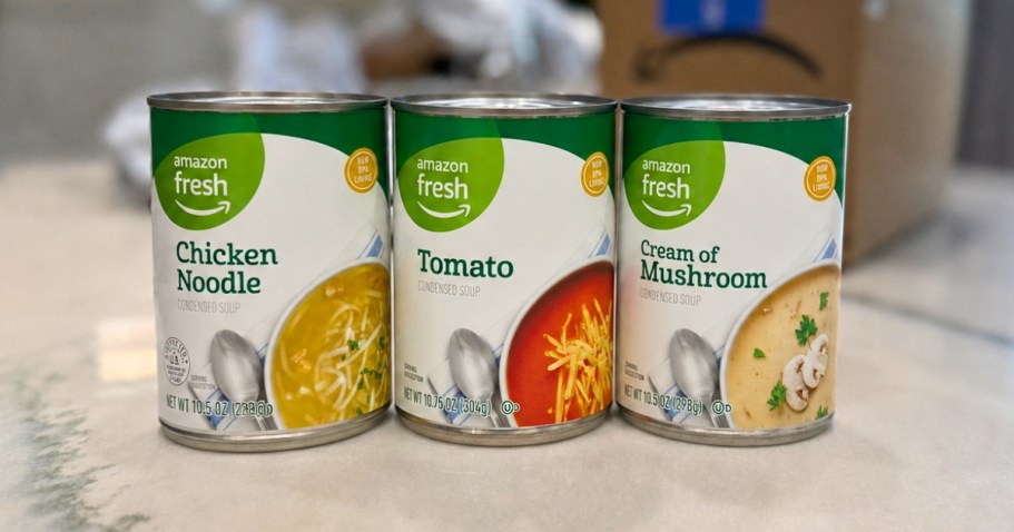 Amazon Fresh Soup Only 59¢ Shipped (Several Flavors!)