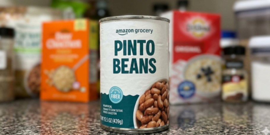 Amazon Grocery Canned Pinto Beans Just 67¢ Shipped