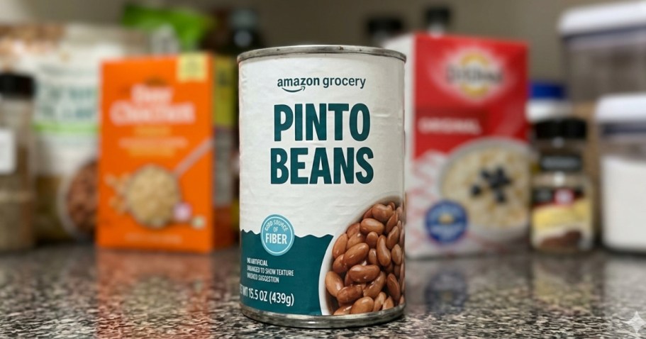 Amazon Grocery Pinto Canned Beans Just 67¢ Shipped