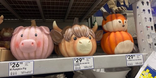 NEW Fall Decor at Lowe’s Including Animal Pumpkins, Festive Doormats, & Cozy Pillows