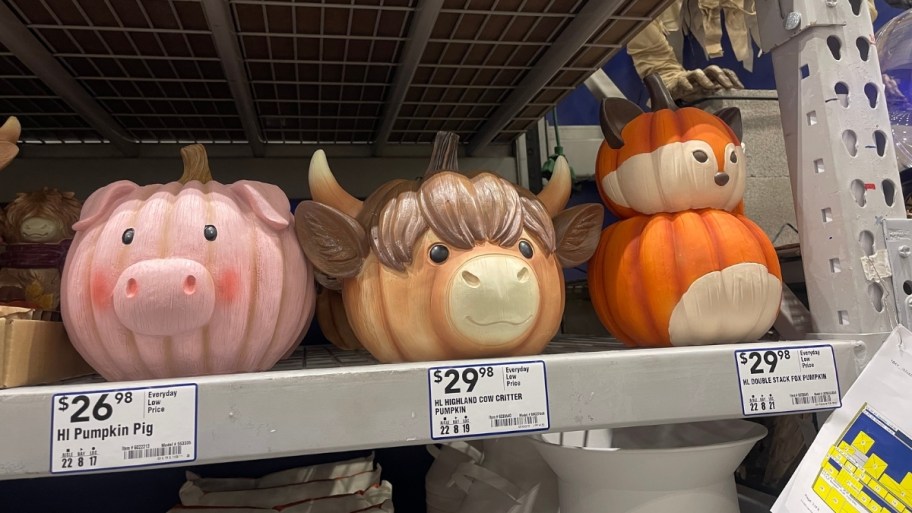 animal shaped pumpkins