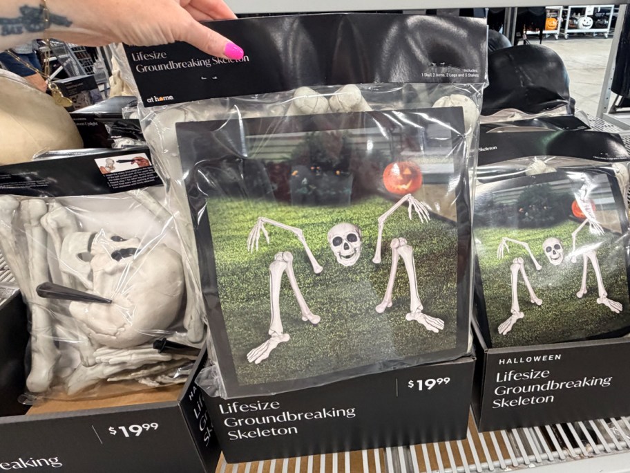 hand holding ground breaking skeleton bag 