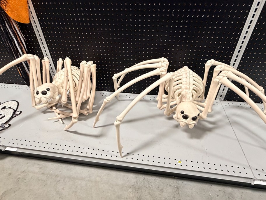 skeleton spiders on shelf 