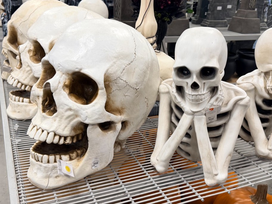 skull and skeleton decor 