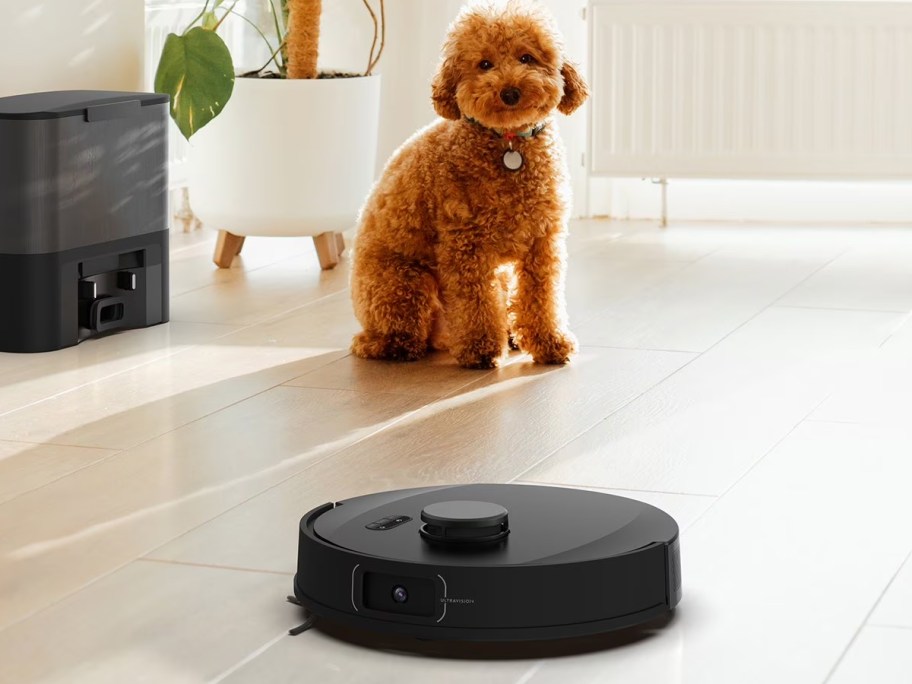 bObsweep UltraVision Self-Emptying Robot Vacuum and Mop with 180-Day Dock