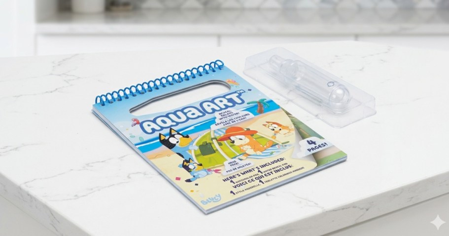 Bluey Aqua Art Set Just $2.99 on Amazon