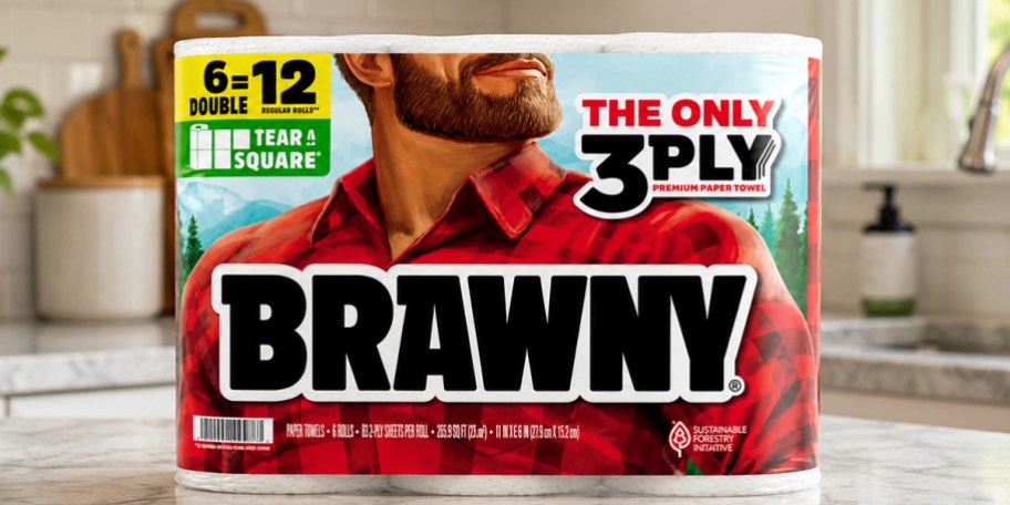 brawny paper towels bag on counter