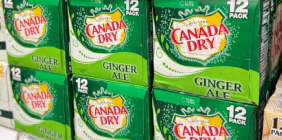 Canada Dry Ginger Ale 12-Packs Only $4.75 Shipped on Amazon