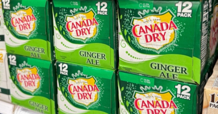 Canada Dry Ginger Ale 12-Packs Only $4.75 Shipped on Amazon