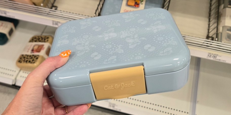 hand holding blue western bento box 