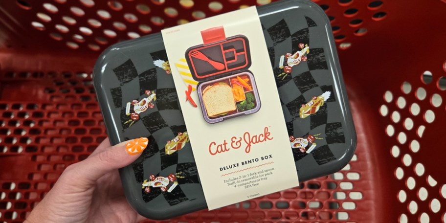 hand holding race track bento box 