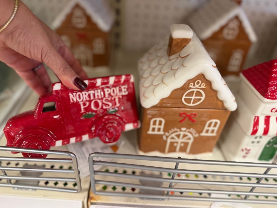 hand holding cookies houses