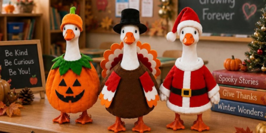 EIGHT Outfits for Your Desk Goose Just $21.49 Shipped on Amazon (Reg. $44)