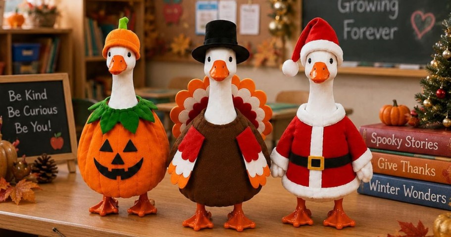 EIGHT Outfits for Your Desk Goose Just $21.49 Shipped on Amazon (Reg. $44)