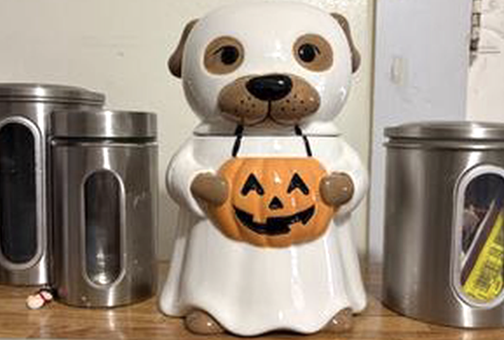 New Cat & Dog Halloween Ceramic Cookie Jars Just $12.97 at Walmart