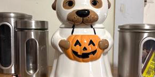 New Cat & Dog Halloween Ceramic Cookie Jars Just $12.97 at Walmart