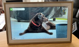 Digital Picture Frame Only $39.51 Shipped on Amazon (Reg. $70)