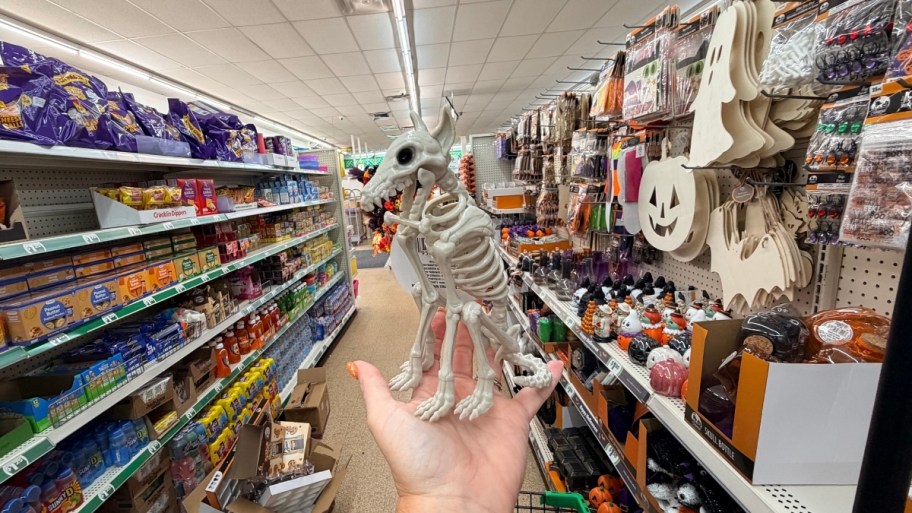 hand holding a dog skeleton