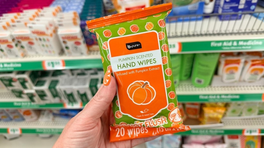 hand holding a package of hand wipes