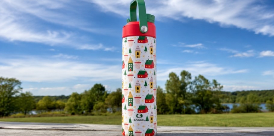 GO! Owala-Inspired Water Bottles from $4.99 on Amazon | Cute Holiday Prints!