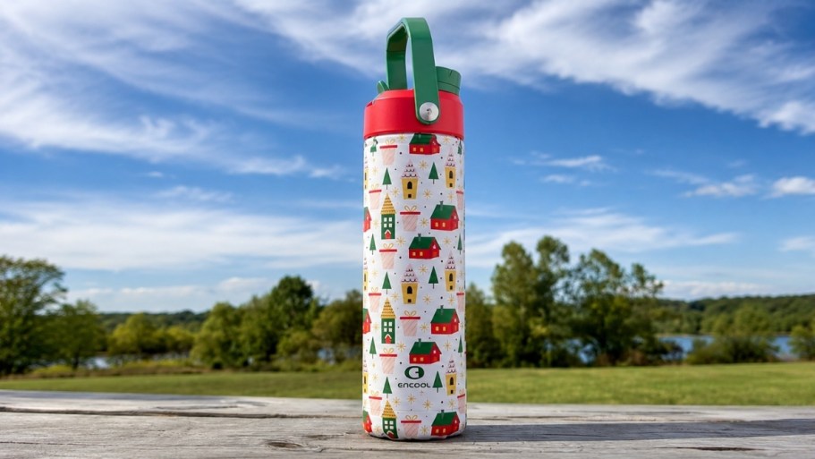 Owala-Inspired Water Bottles from $4.99 on Amazon | Cute Holiday Prints!